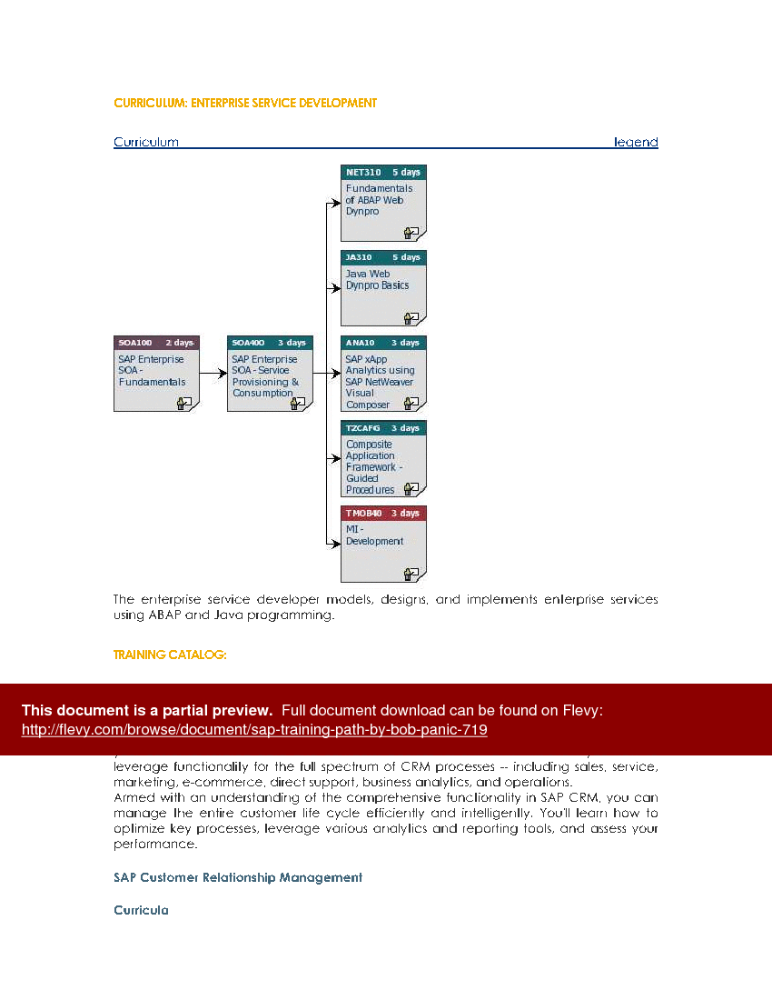 SAP Training Path by Bob Panic () Preview Image