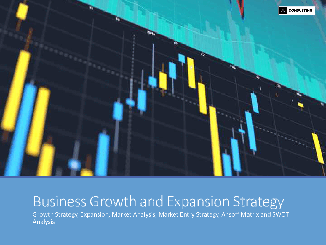 Business Growth and Expansion Strategy