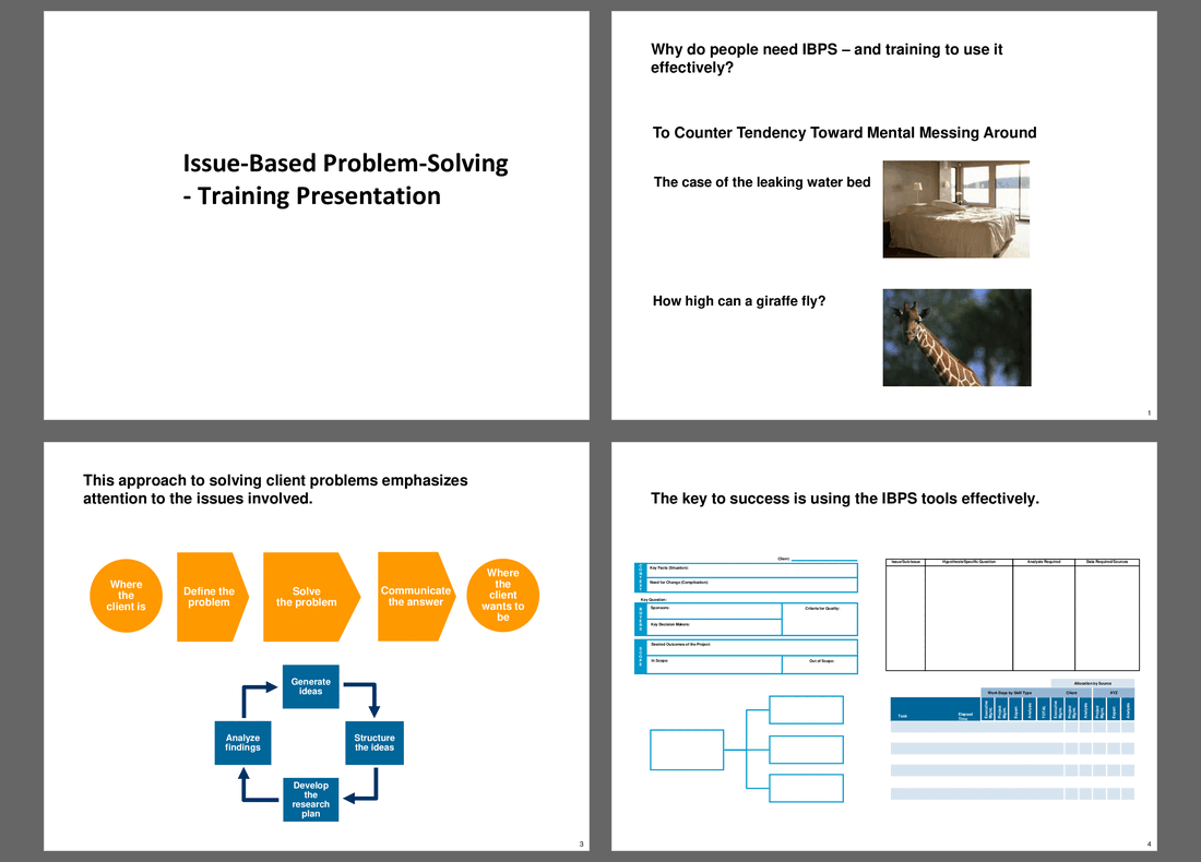 Issue Based Problem Solving