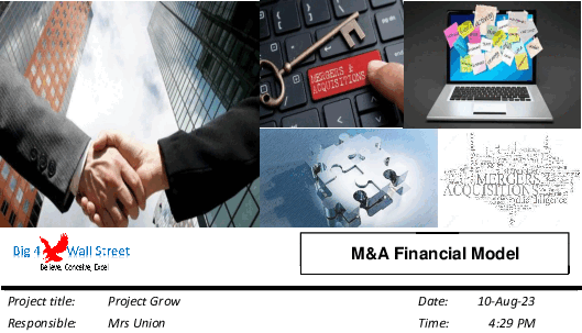 Mergers and Acquisition (M&A) Financial Model (Excel template (XLSX)) Preview Image