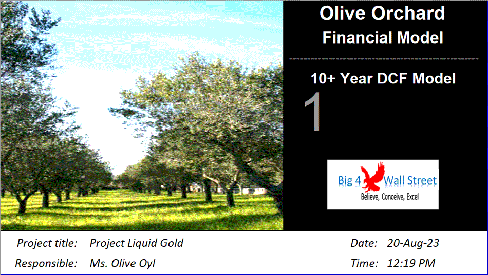 Olive Orchard Business - DCF 10 Year Financial Model (Excel template (XLSX)) Preview Image