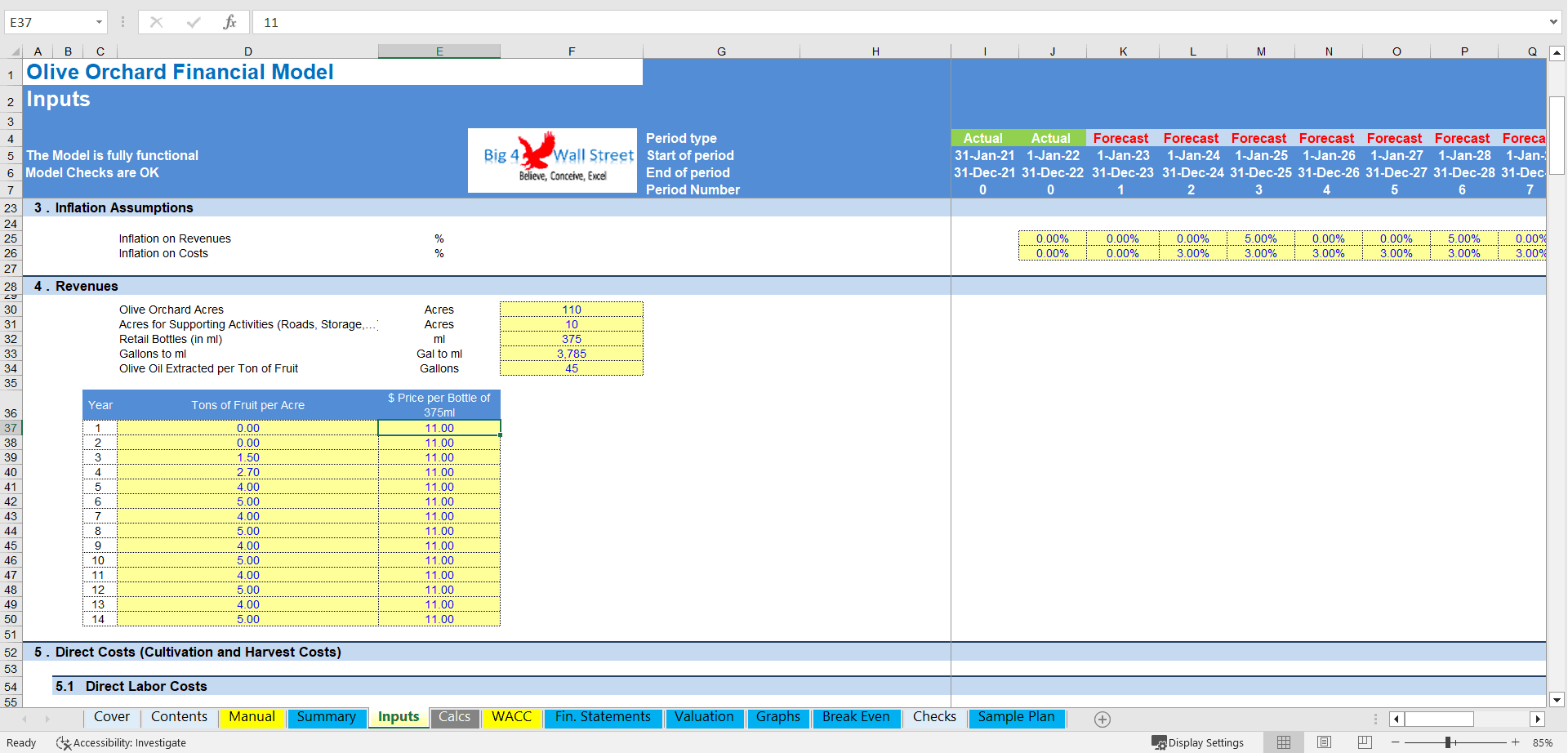 Olive Orchard Business - DCF 10 Year Financial Model (Excel template (XLSX)) Preview Image
