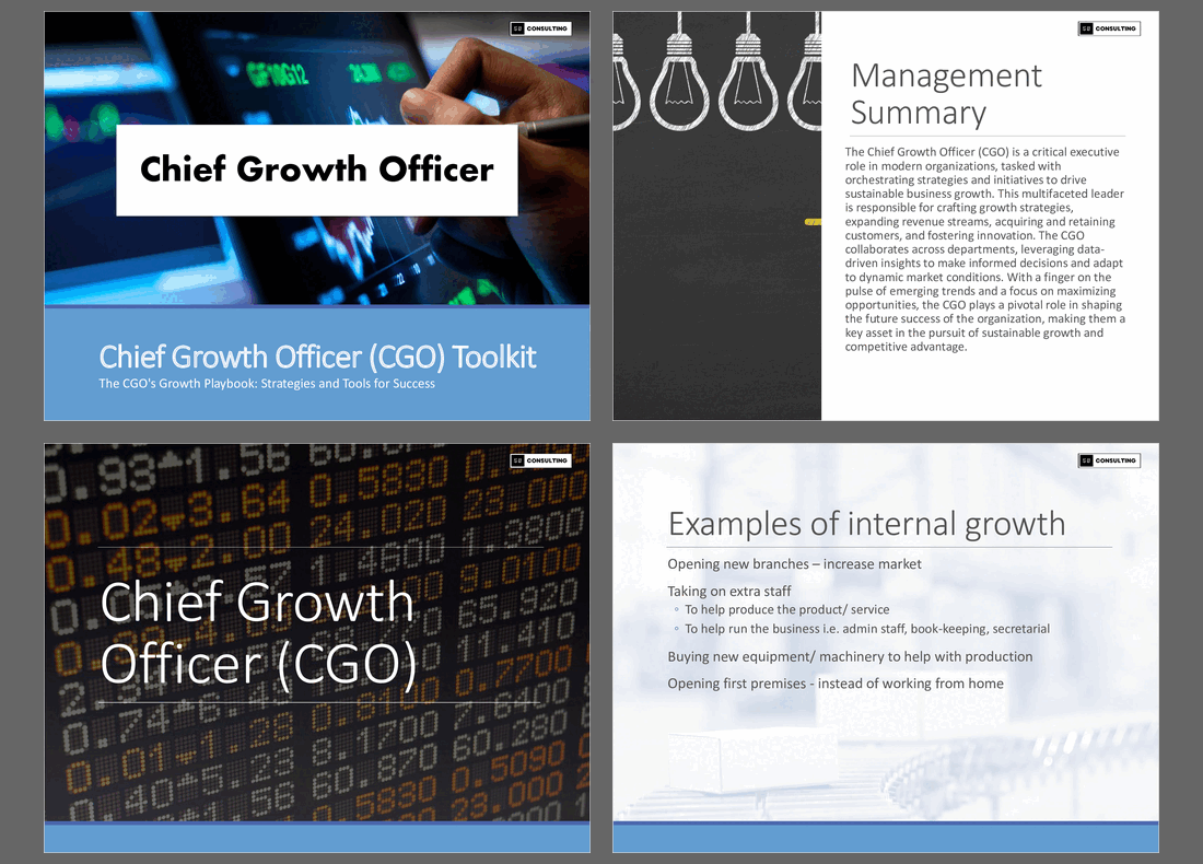 Chief Growth Officer CGO Toolkit PPT Slide Deck