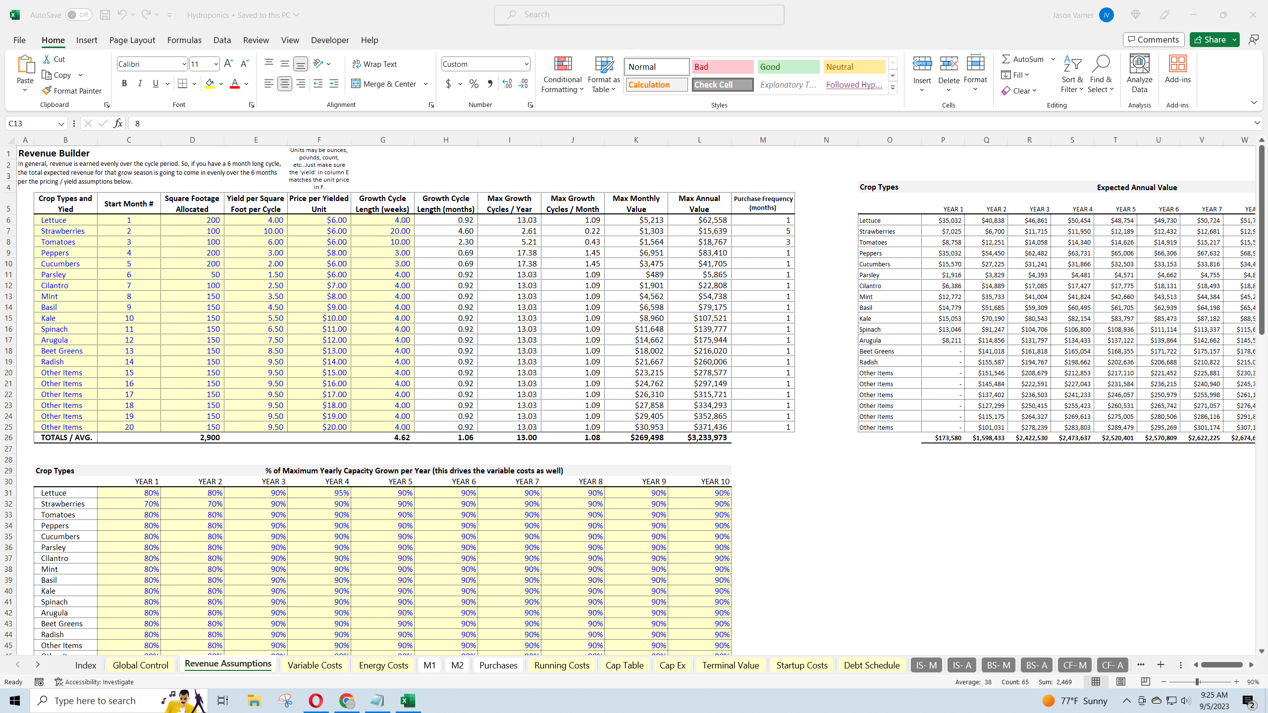Hydroponics Business: 10 Year Financial Projection Template (Excel workbook (XLSX)) Preview Image