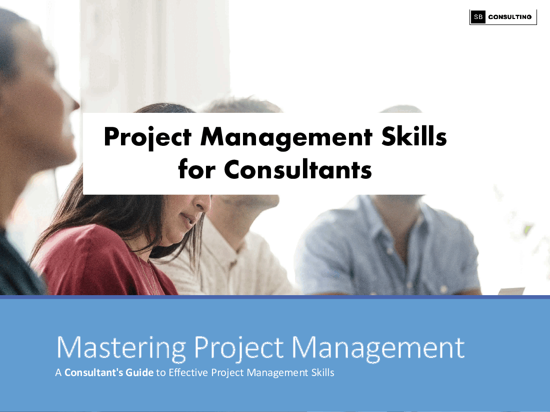 Project Management Skills For Consultants