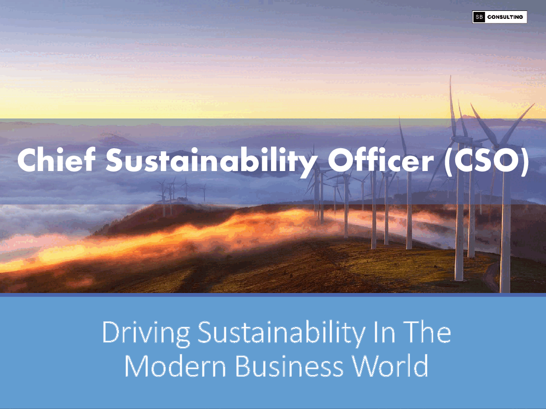 Chief Sustainability Officer (CSO)