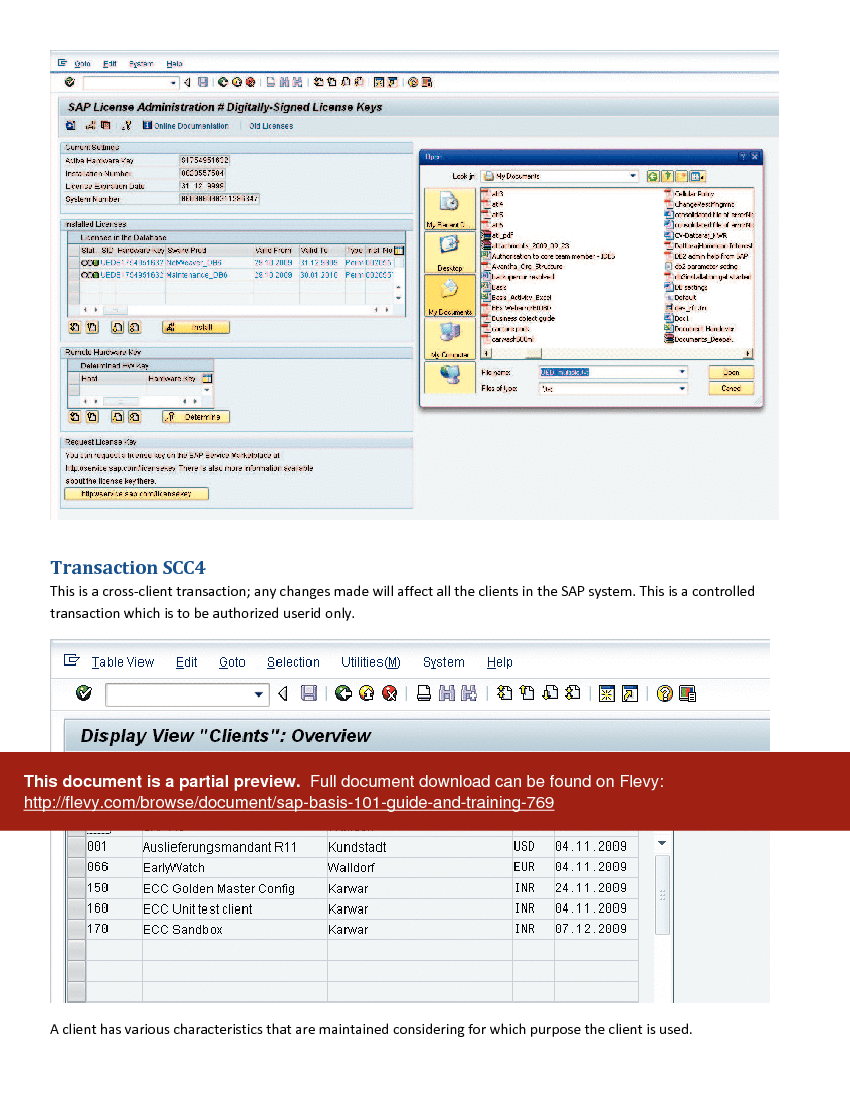 SAP Basis 101 Guide and Training (72-page PDF document) Preview Image