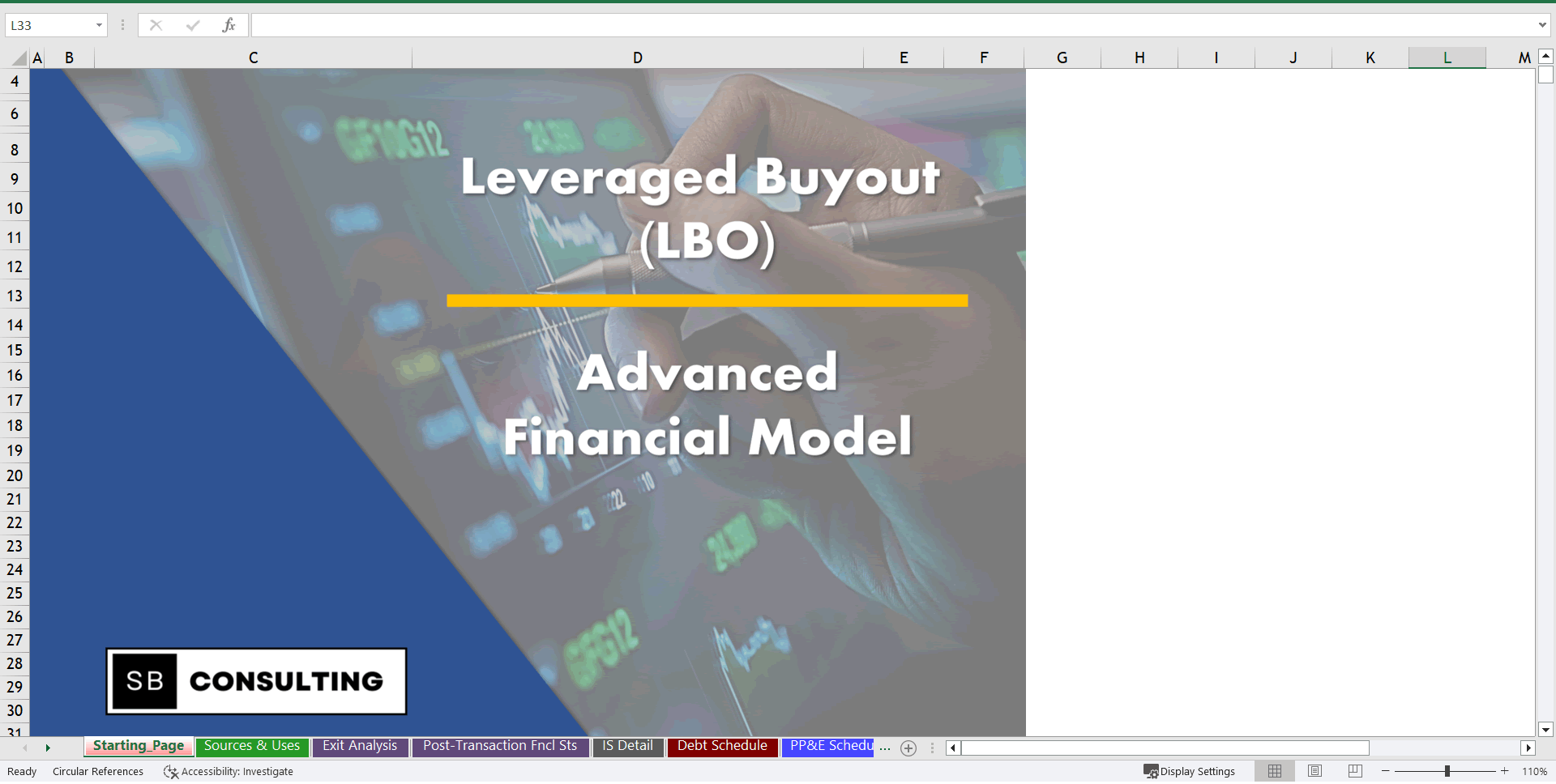 Leveraged Buyout (LBO) Financial Model (Excel template (XLSM)) Preview Image