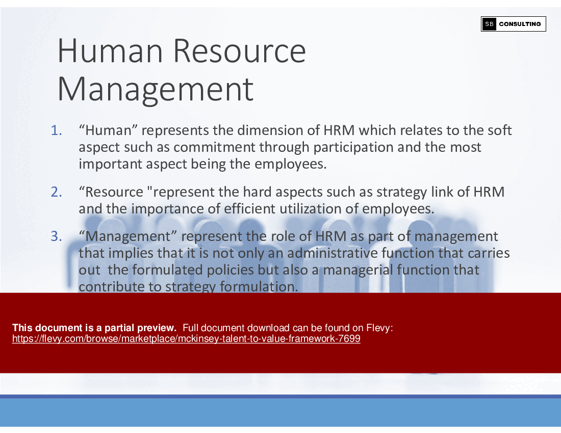 McKinsey Talent-to-Value Framework (230-slide PPT PowerPoint presentation (PPTX)) Preview Image