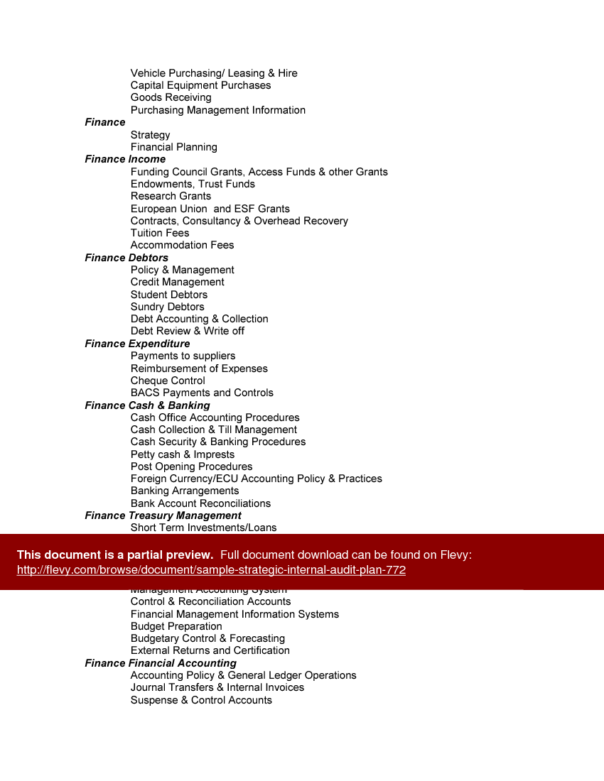 Sample Strategic Internal Audit Plan (32-page Word document) Preview Image