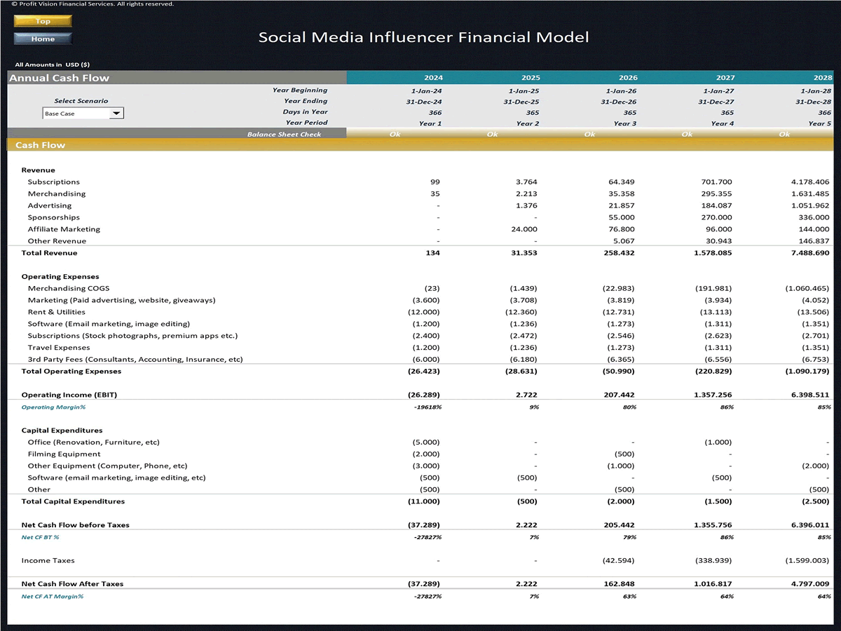 Social Media Influencer - 5 Year Financial Model (Excel template (XLSX)) Preview Image