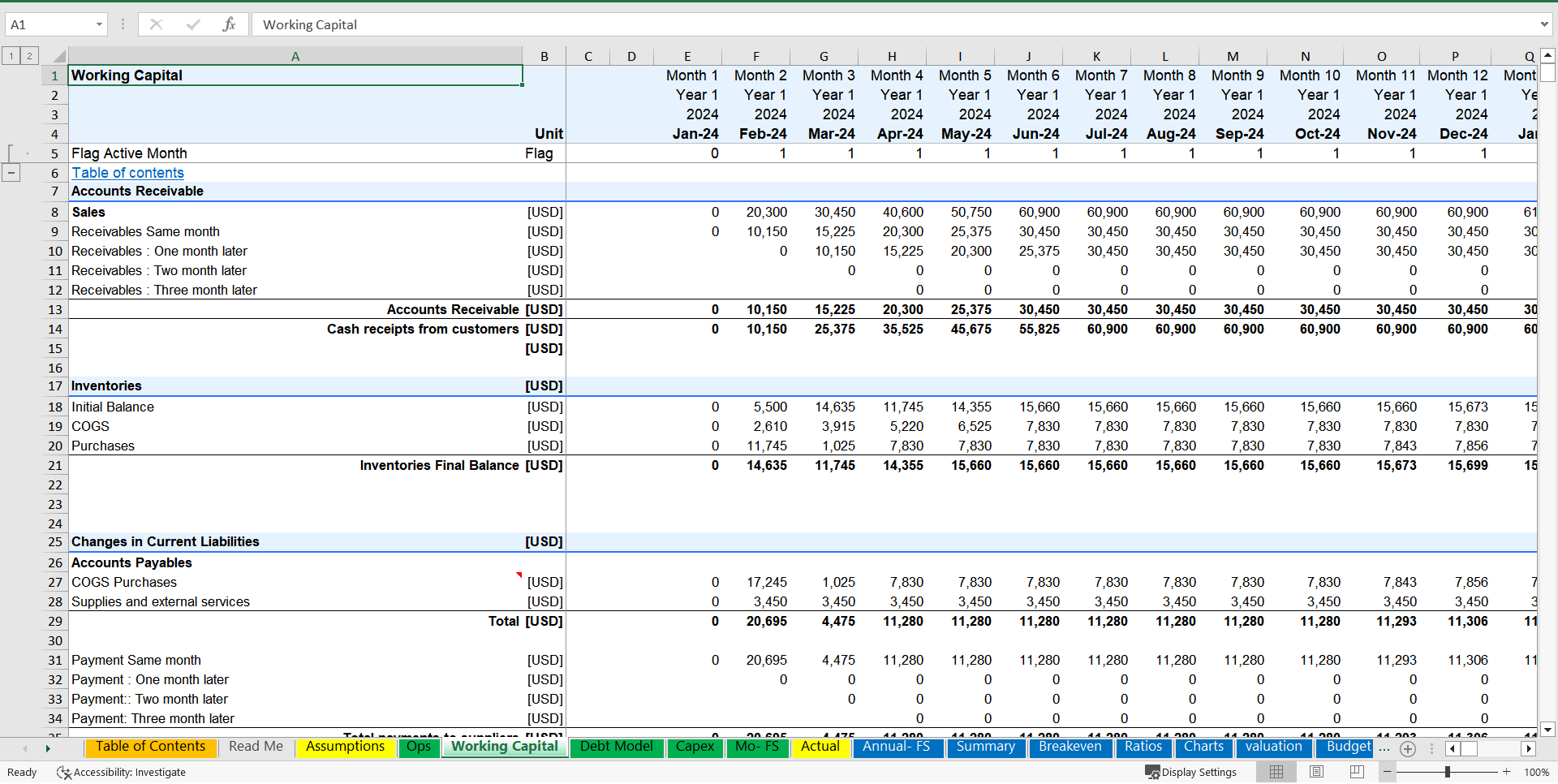 Veterinary Clinic Financial Model and Budget Control (Excel template (XLSX)) Preview Image