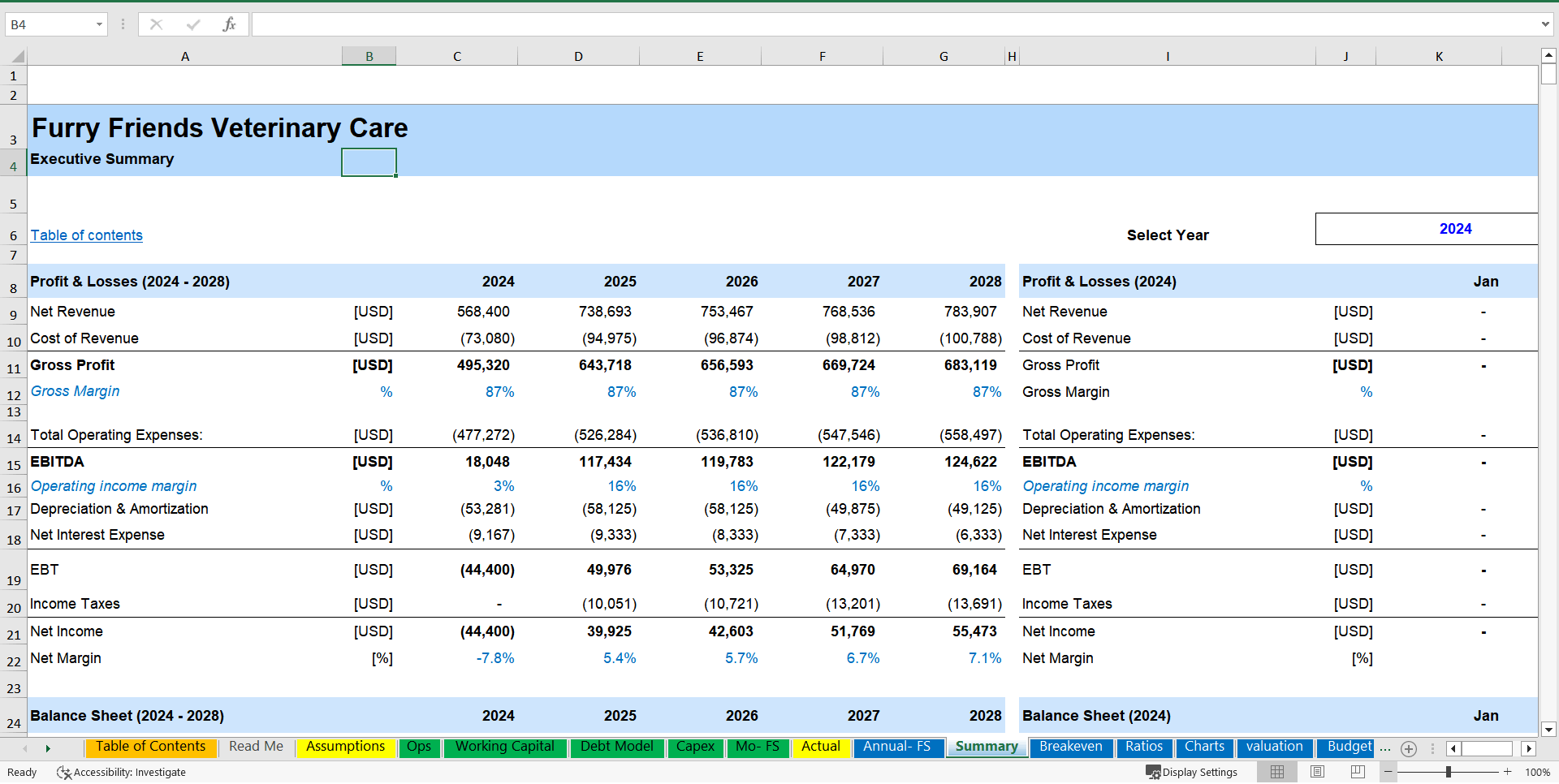 Veterinary Clinic Financial Model and Budget Control (Excel template (XLSX)) Preview Image