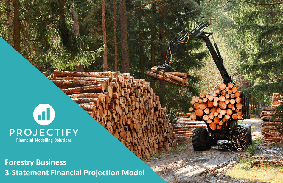 Forestry Financial Projection 3 Statement Model (Excel template (XLSX)) Preview Image