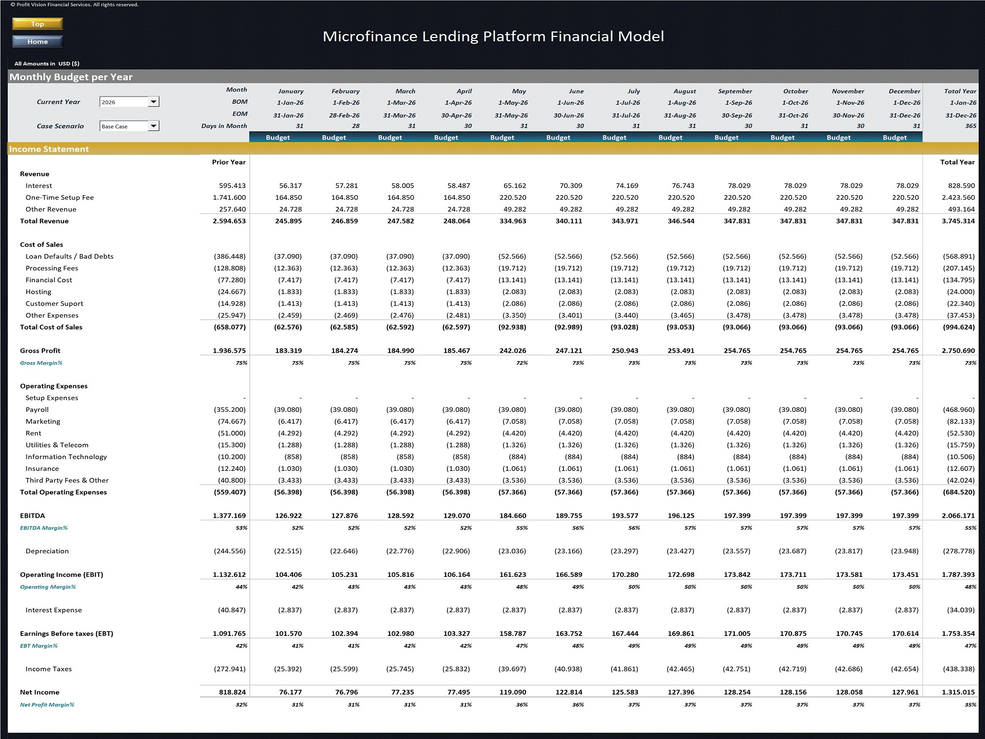 Microfinance Platform – 5 Year Financial Model (Excel template (XLSX)) Preview Image