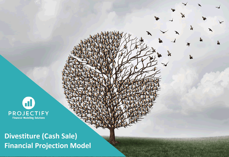 Divestiture (Cash Sale) Financial Projection Model (Excel template (XLSX)) Preview Image