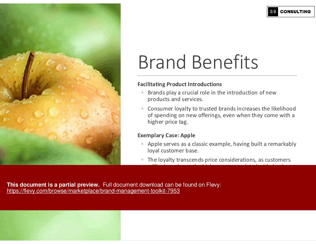 Brand Management Toolkit (102-slide PPT PowerPoint presentation (PPTX)) Preview Image