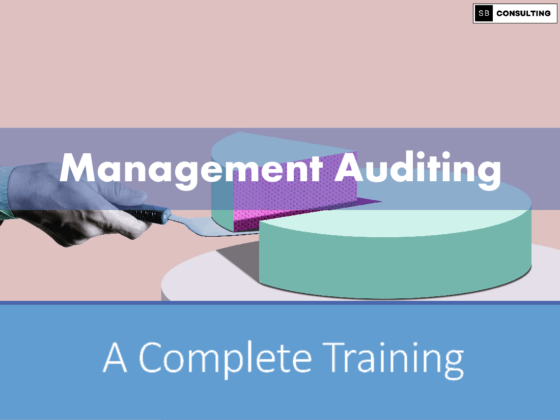 Management Auditing Training (126-slide PPT PowerPoint presentation (PPTX)) Preview Image