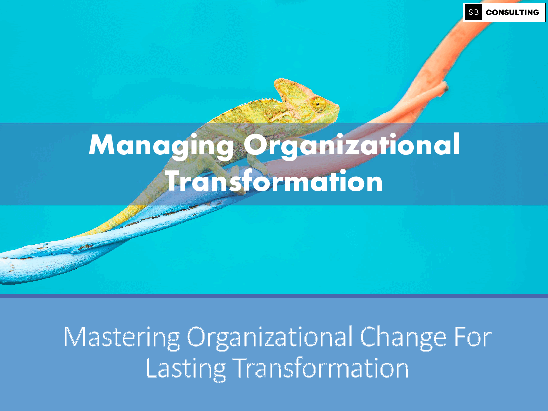 Managing Organizational Transformation