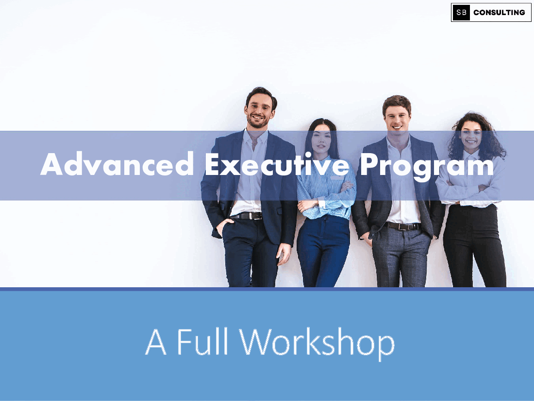 Advanced Executive Education Workshop (297-slide PPT PowerPoint presentation (PPTX)) Preview Image
