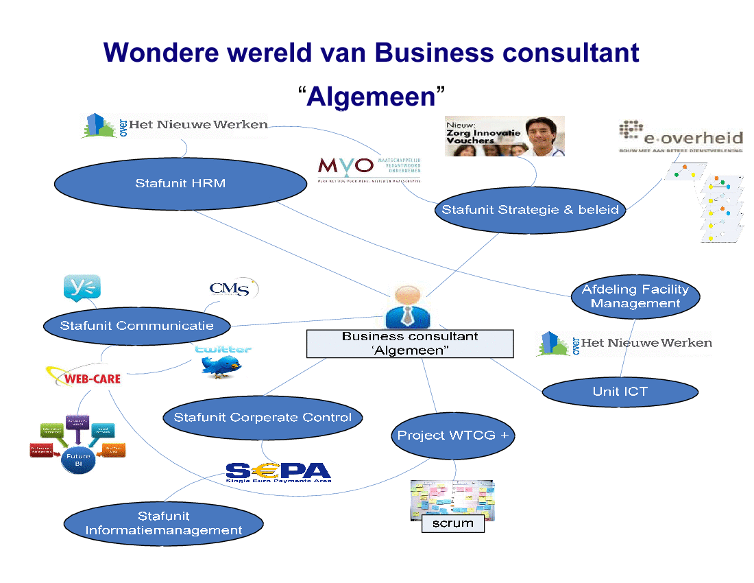 Business Analyst Functional Overview (Dutch)