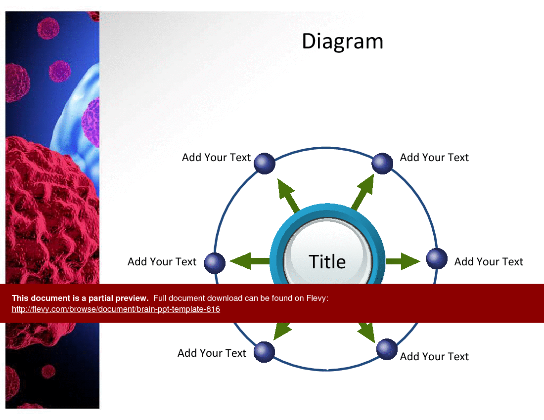 Brain PPT Template (21-slide PPT PowerPoint presentation (PPT)) Preview Image