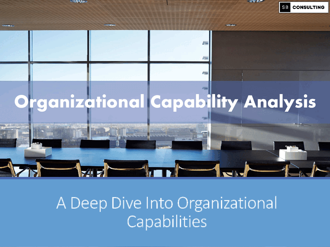 Organizational Capability Analysis
