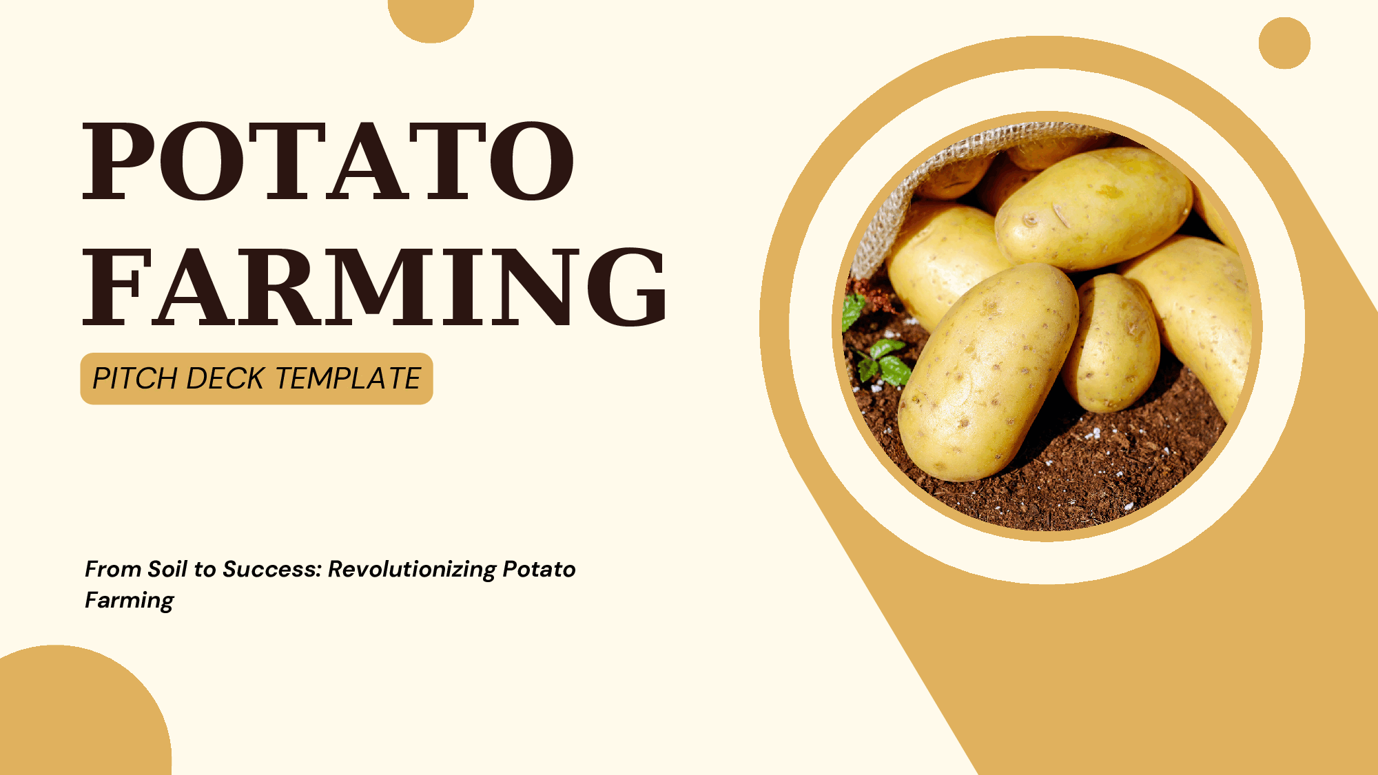 Potato Farming Pitch Deck Template (32-page PDF document) Preview Image