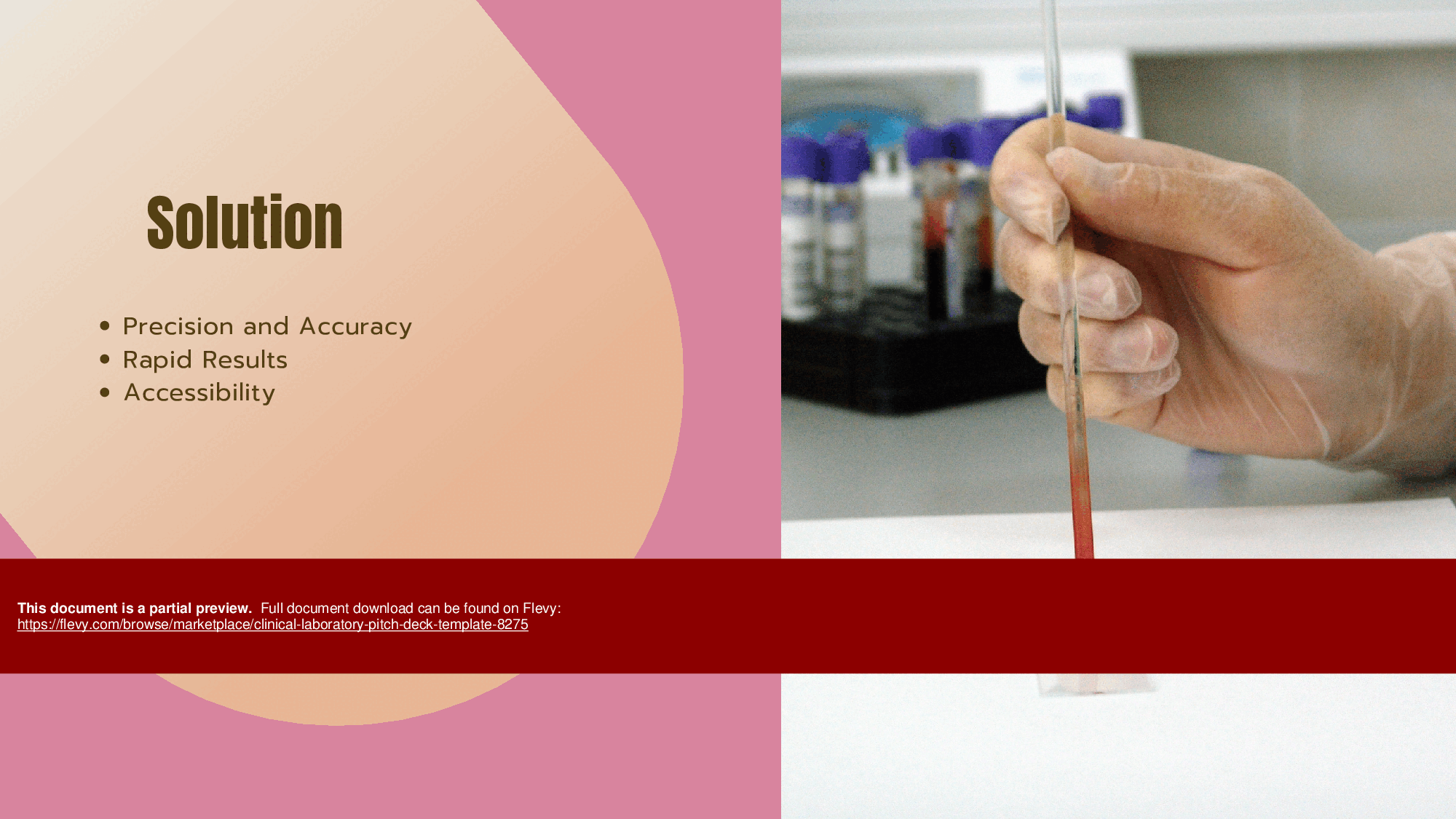 Clinical Laboratory Pitch Deck Template (32-page PDF document) Preview Image