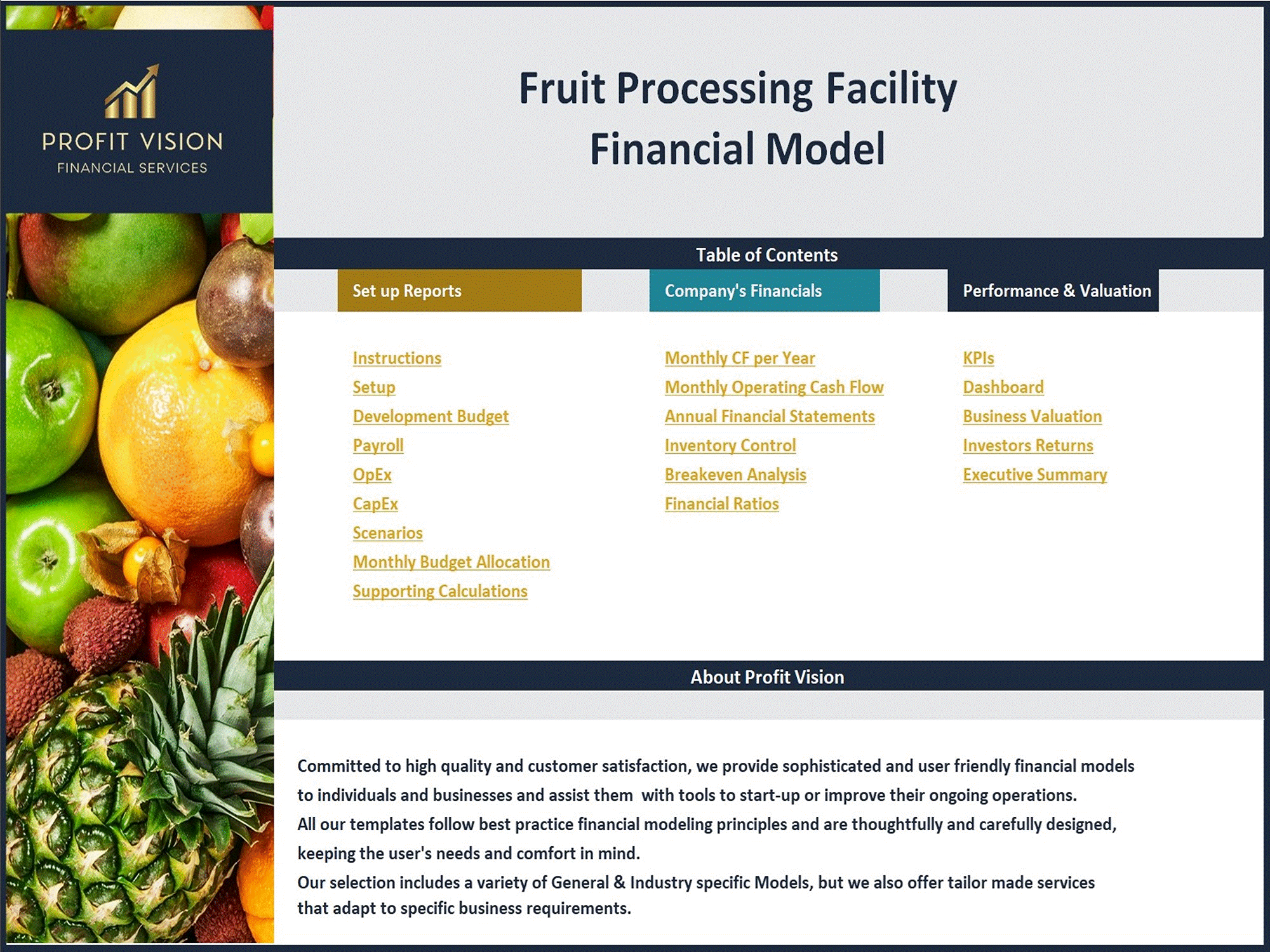 Fruit Processing Facility - 10 Year Financial Model (Excel template (XLSX)) Preview Image