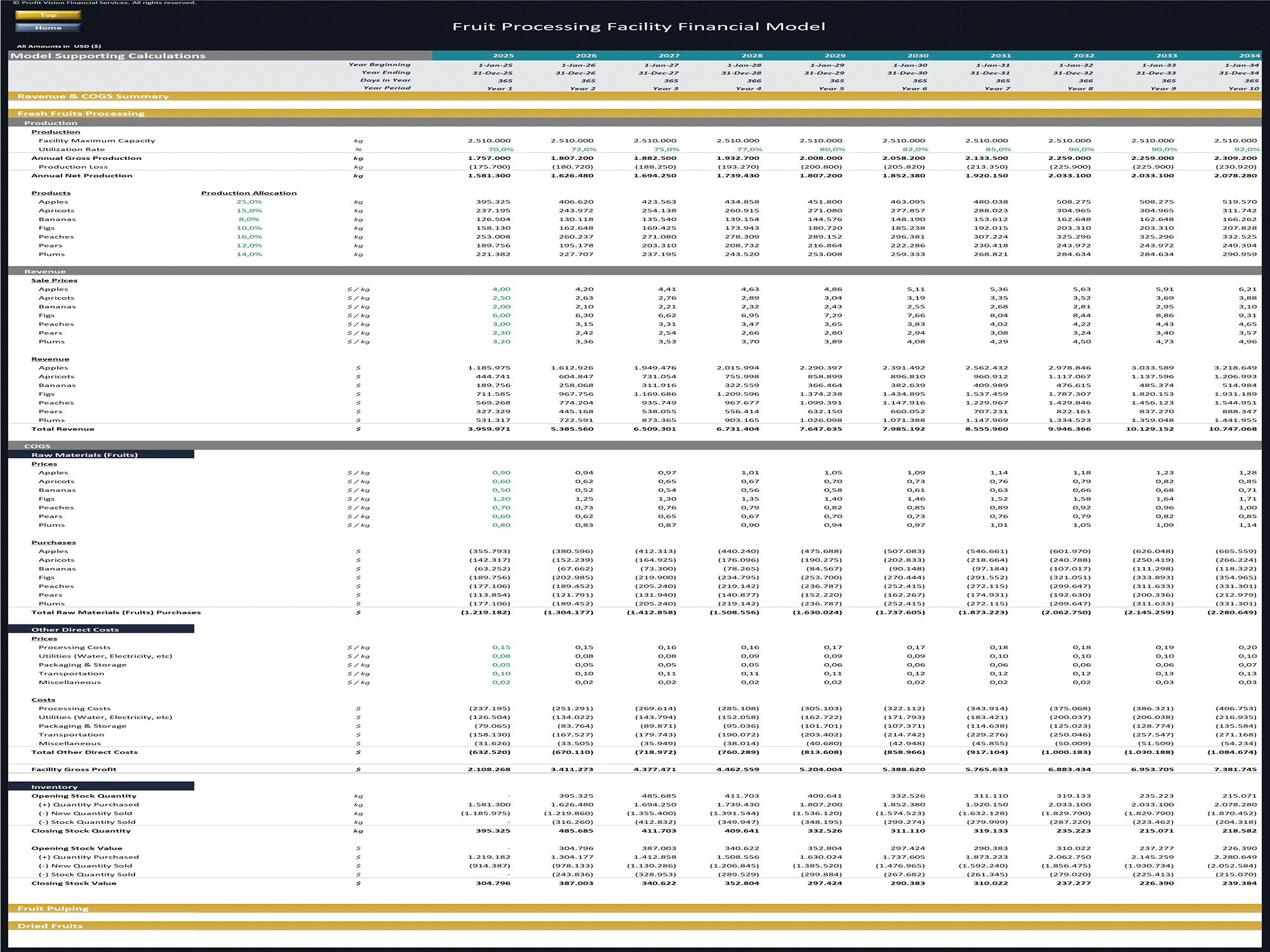 Fruit Processing Facility - 10 Year Financial Model (Excel template (XLSX)) Preview Image