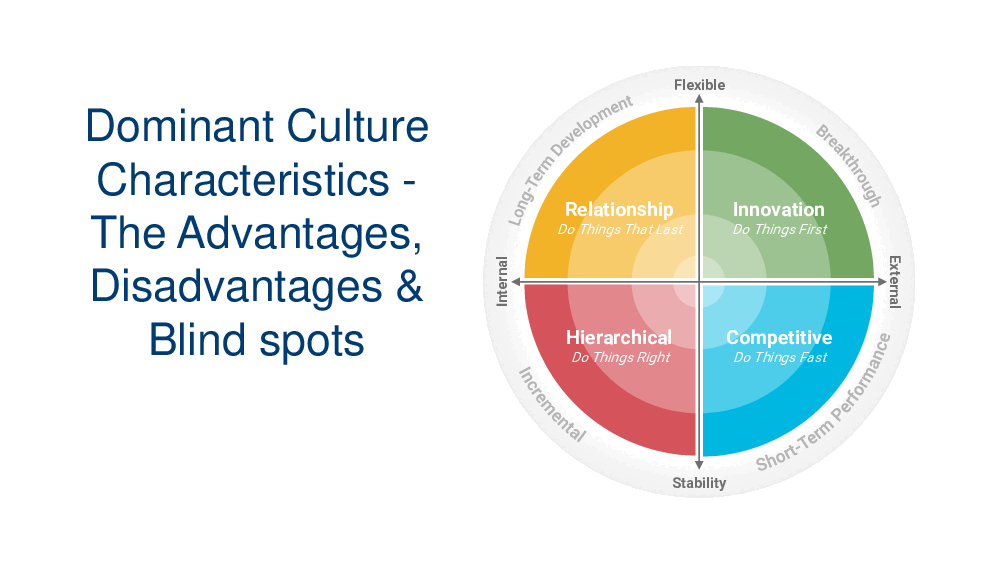 Advantages and Disadvantages of Organizational Culture Blind Spots (14-page PDF document) Preview Image