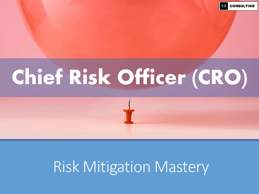 Chief Risk Officer (CRO) Toolkit