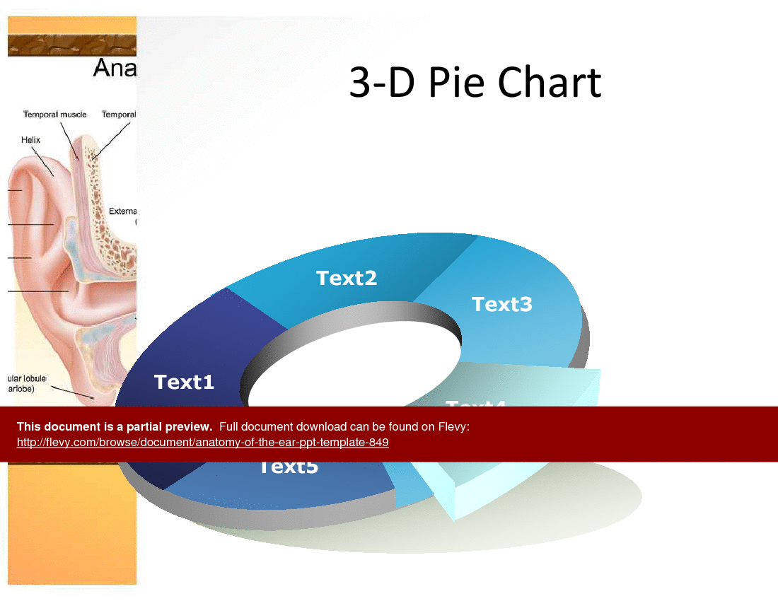 Anatomy of the Ear PPT Template (21-slide PPT PowerPoint presentation (PPT)) Preview Image