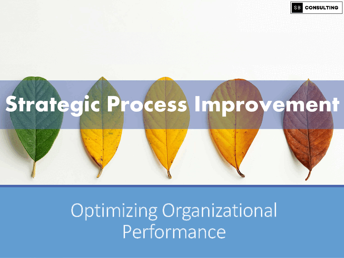 Strategic Process Improvement