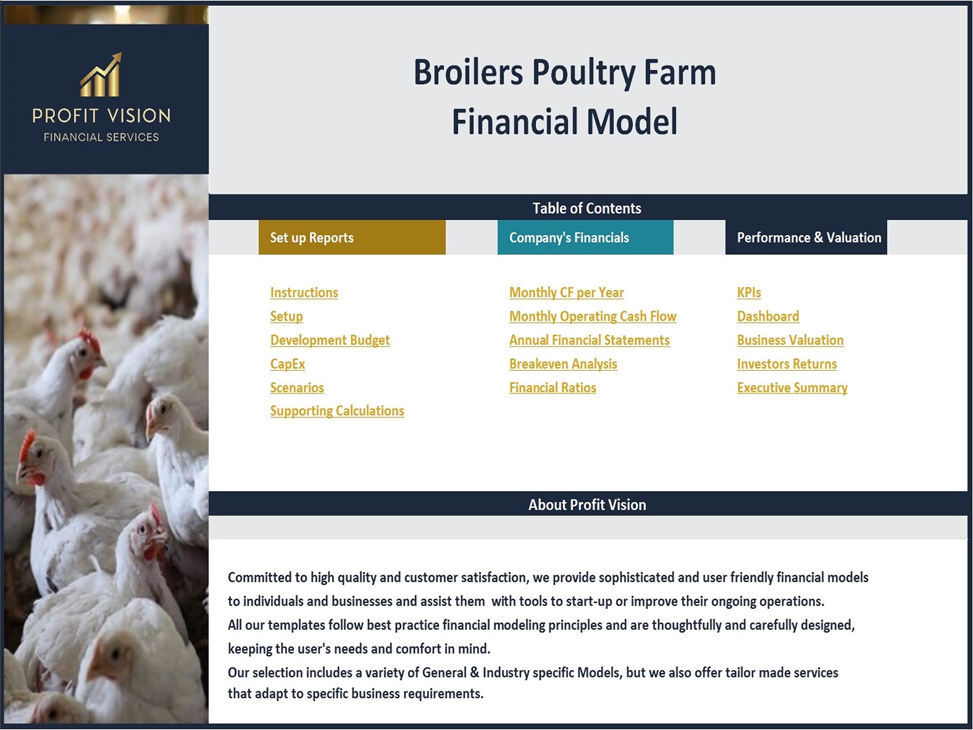 Broilers Poultry Farm – 10 Year Financial Model (Excel template (XLSX)) Preview Image