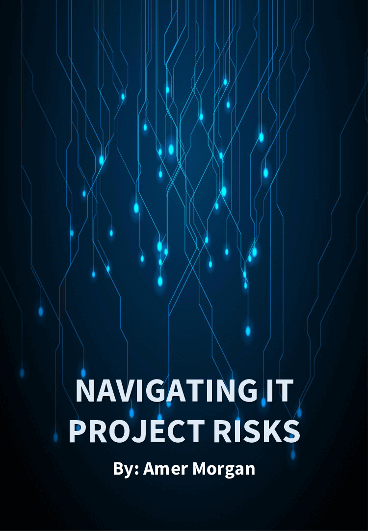 Navigating IT Project Risks