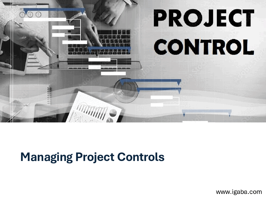 Managing Project Controls