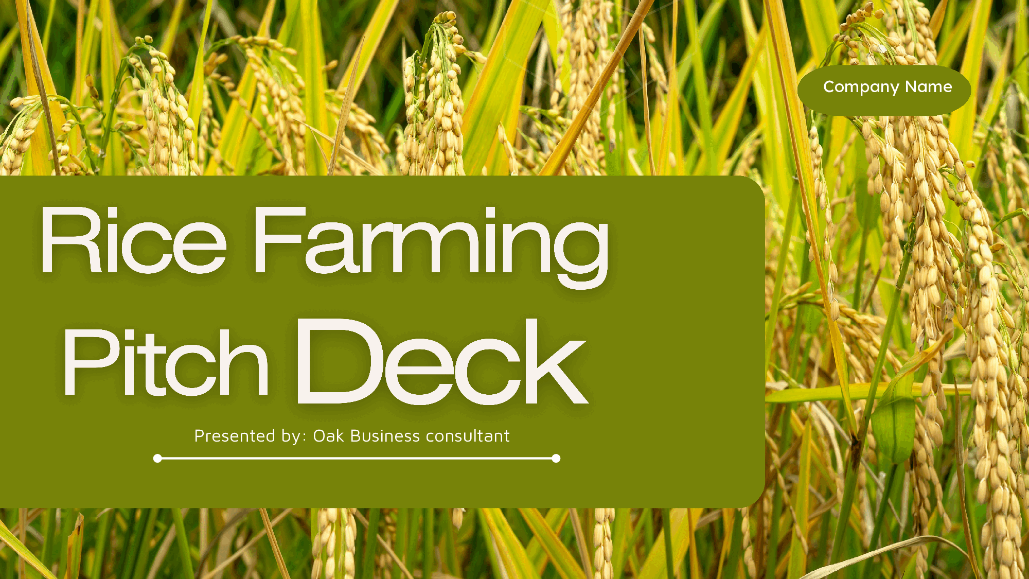 Rice Farming Pitch Deck Template