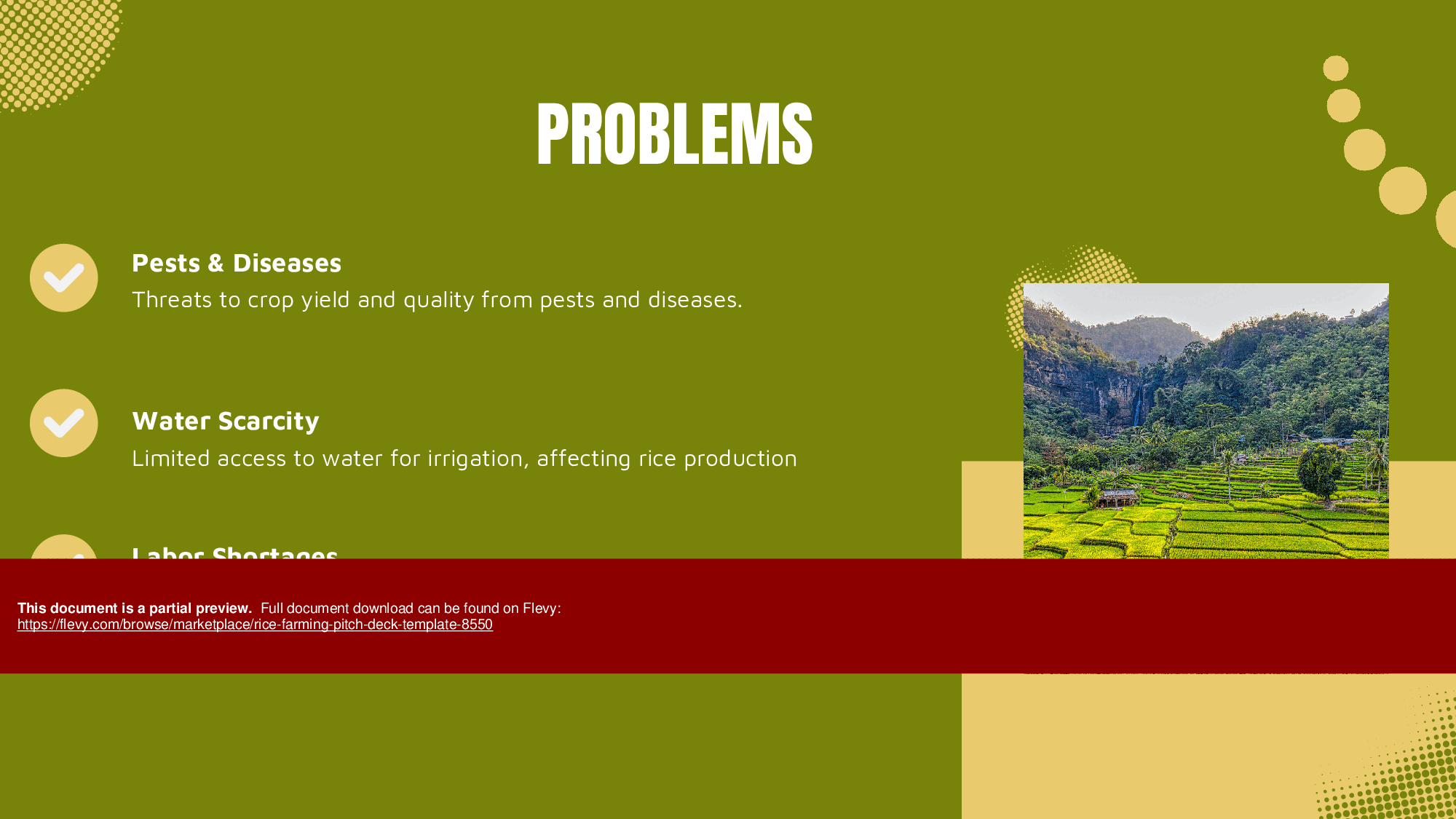 Rice Farming Pitch Deck Template (37-page PDF document) Preview Image