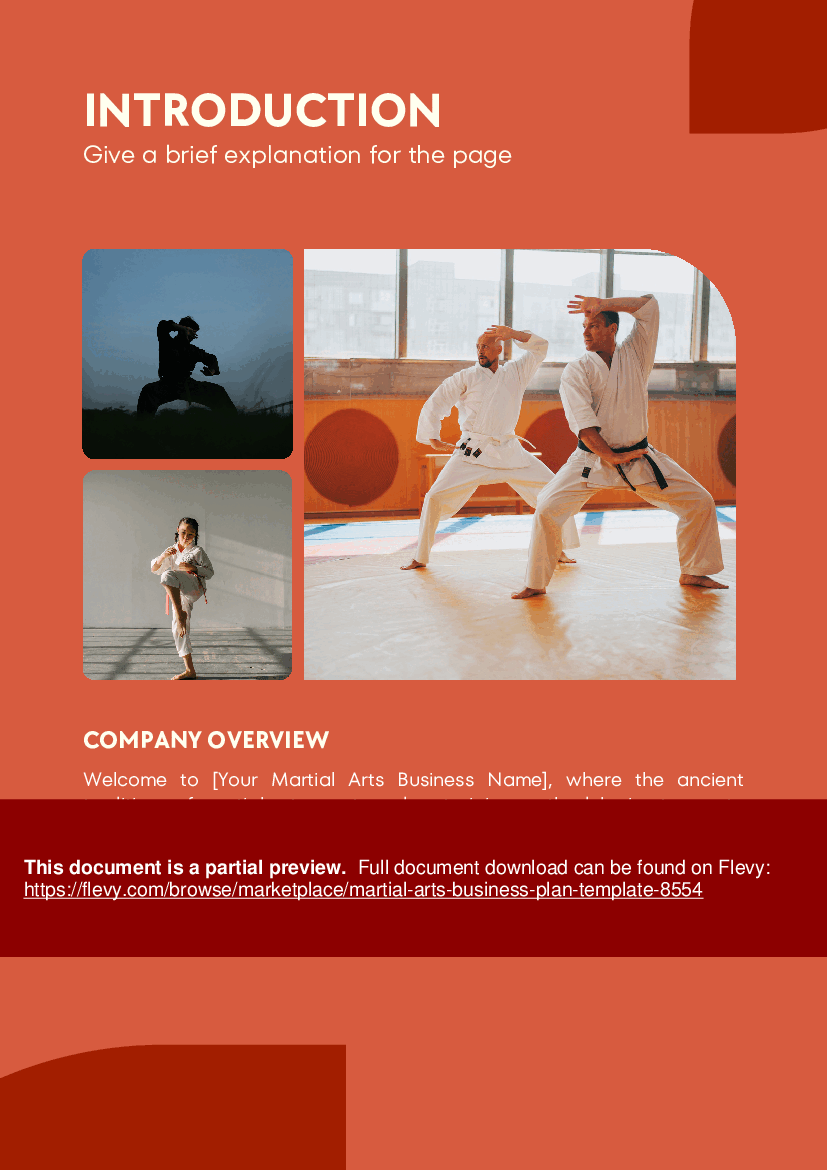 Martial Arts Business Plan Template (43-page PDF document) Preview Image