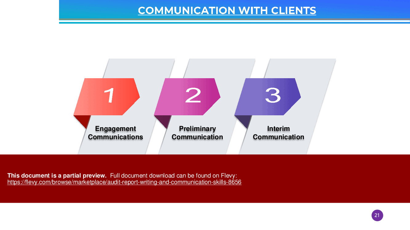 Audit Report Writing and Communication Skills (155-page PDF document) Preview Image