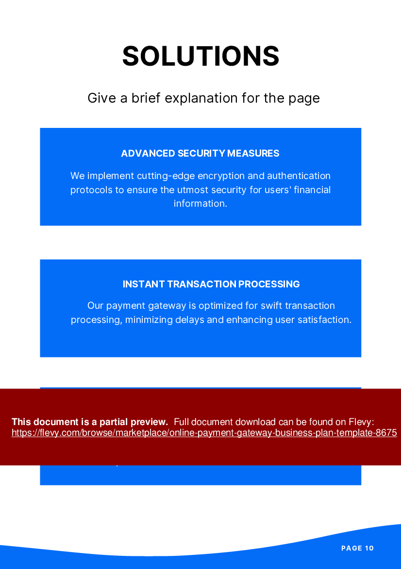 Online Payment Gateway Business Plan Template (45-page PDF document) Preview Image
