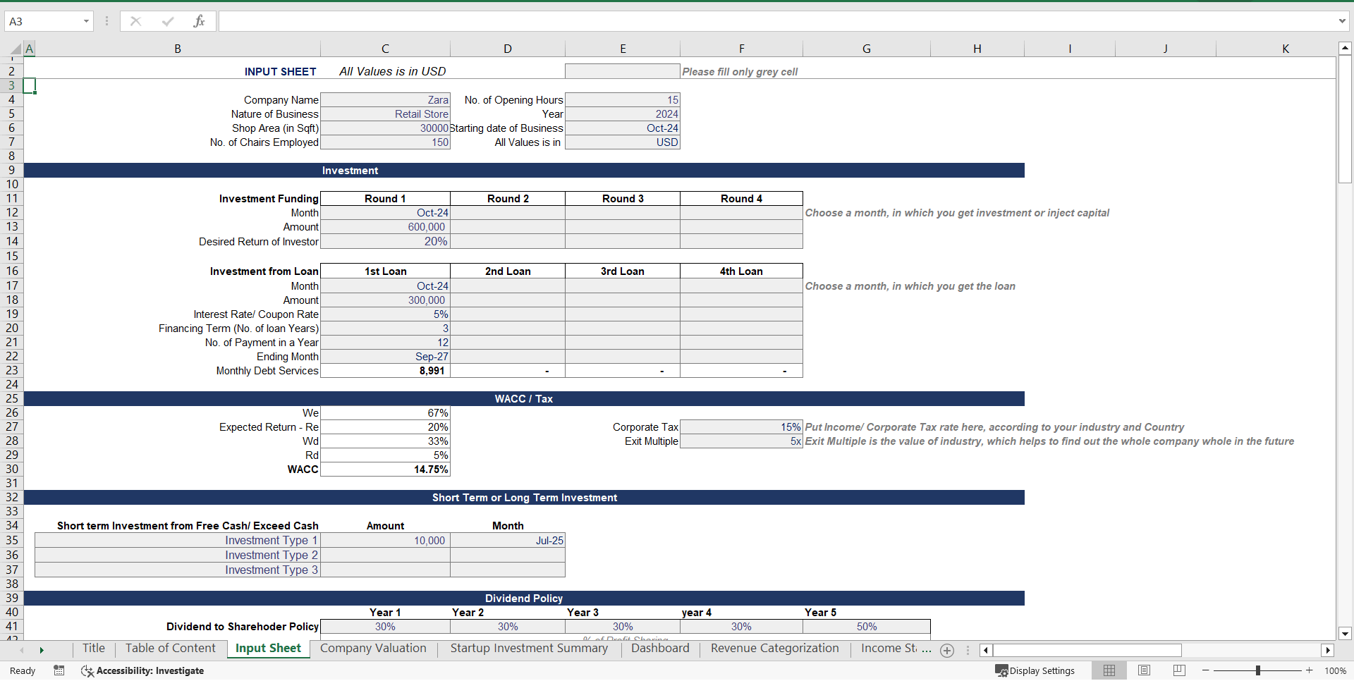 Retail Store Financial Model and Valuation Sheet (Excel template (XLSX)) Preview Image