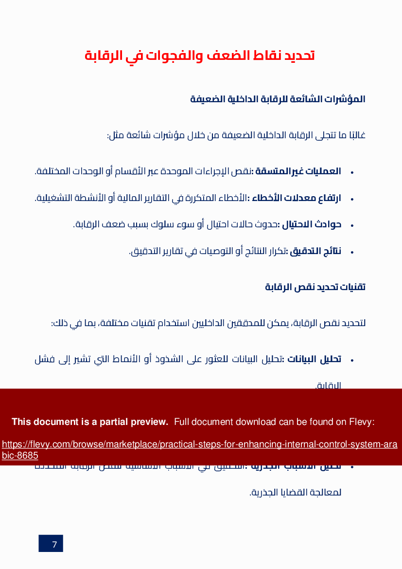 Practical Steps for Enhancing Internal Control System (Arabic) (23-page PDF document) Preview Image