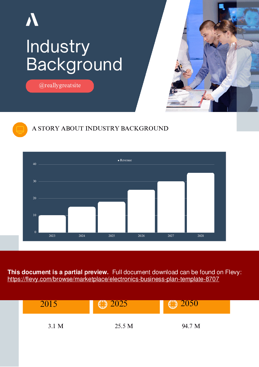 Electronics Business Plan Template (43-page PDF document) Preview Image