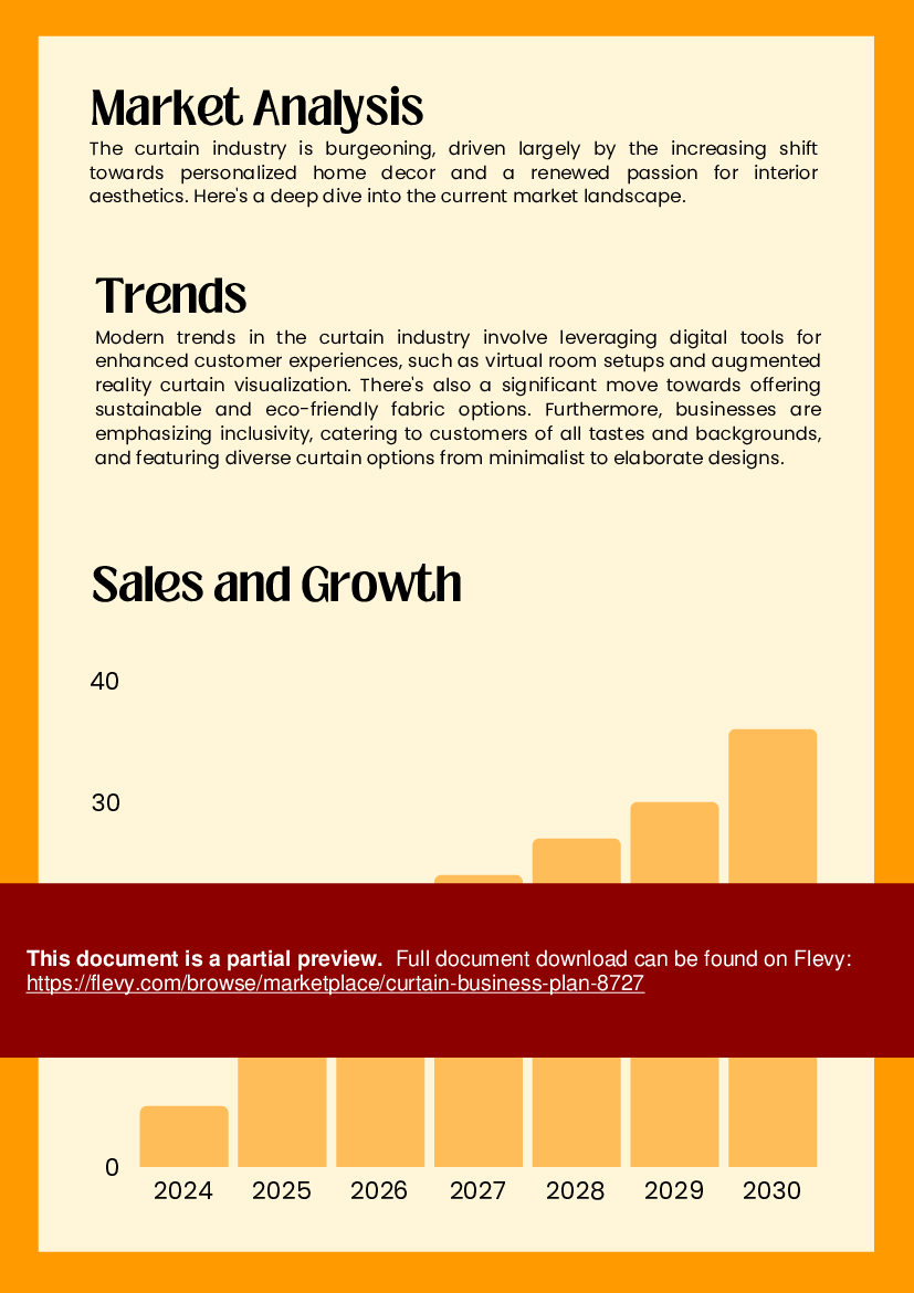 Curtain Business Plan (42-page PDF document) Preview Image