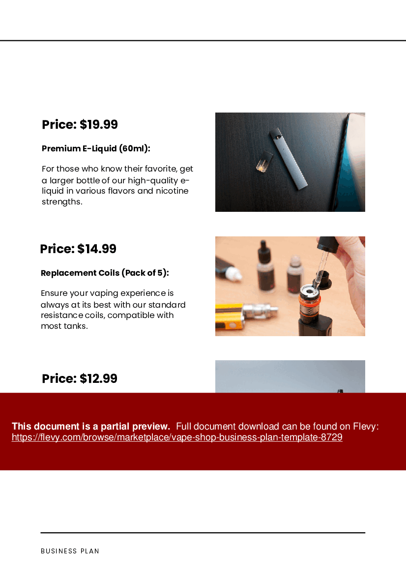 Vape Shop Business Plan Template (45-page PDF document) Preview Image