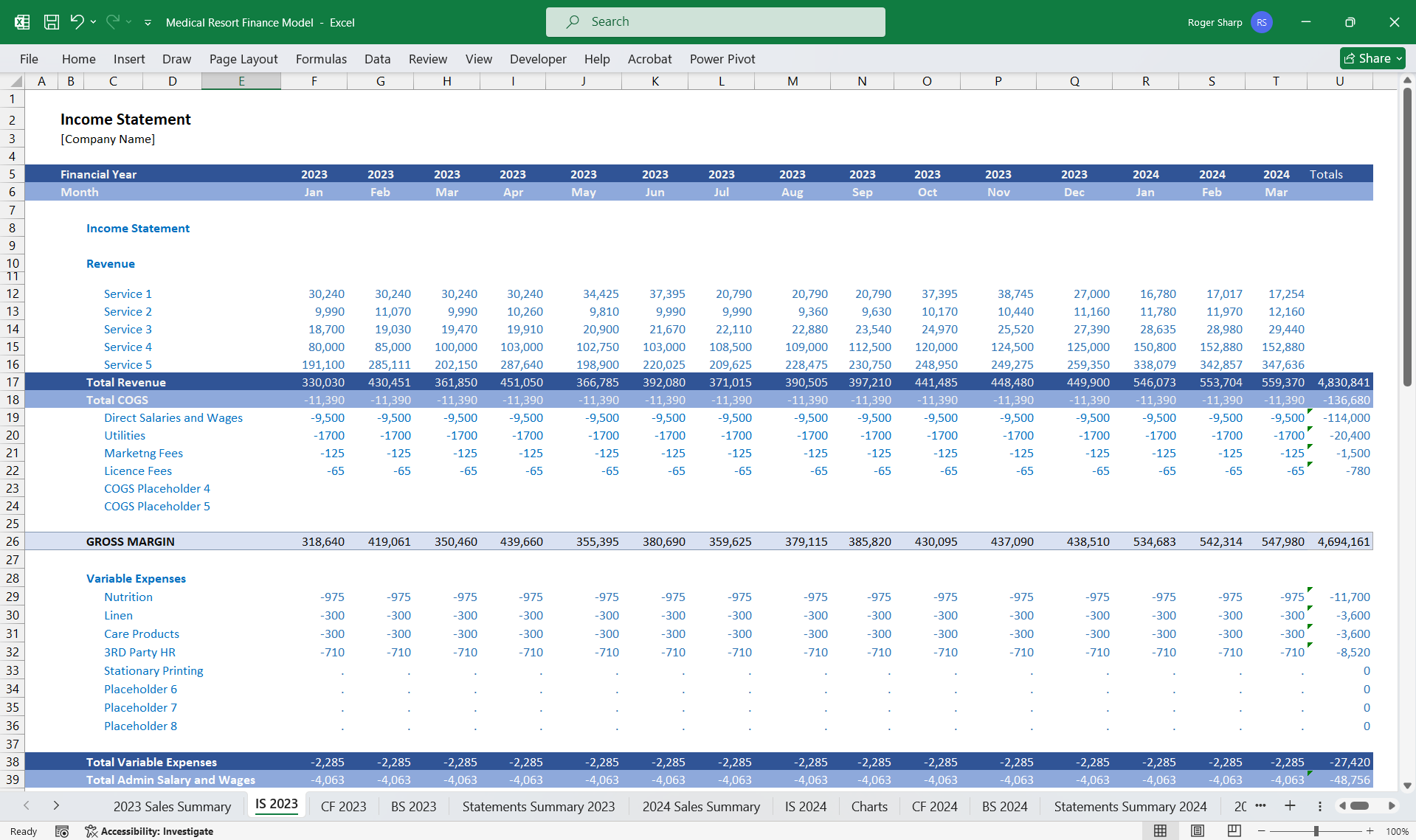 Medical Resort Financial Model 5 Year 3 Statement (Excel template (XLSX)) Preview Image