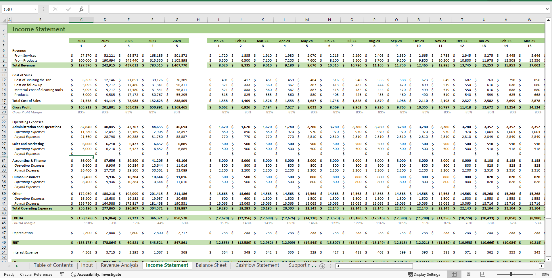 Organic Cleaning Service/Products Financial Model (Excel template (XLSX)) Preview Image